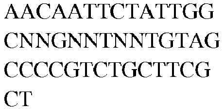 Figure imgb0166