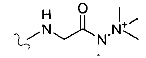 Figure imgb0141