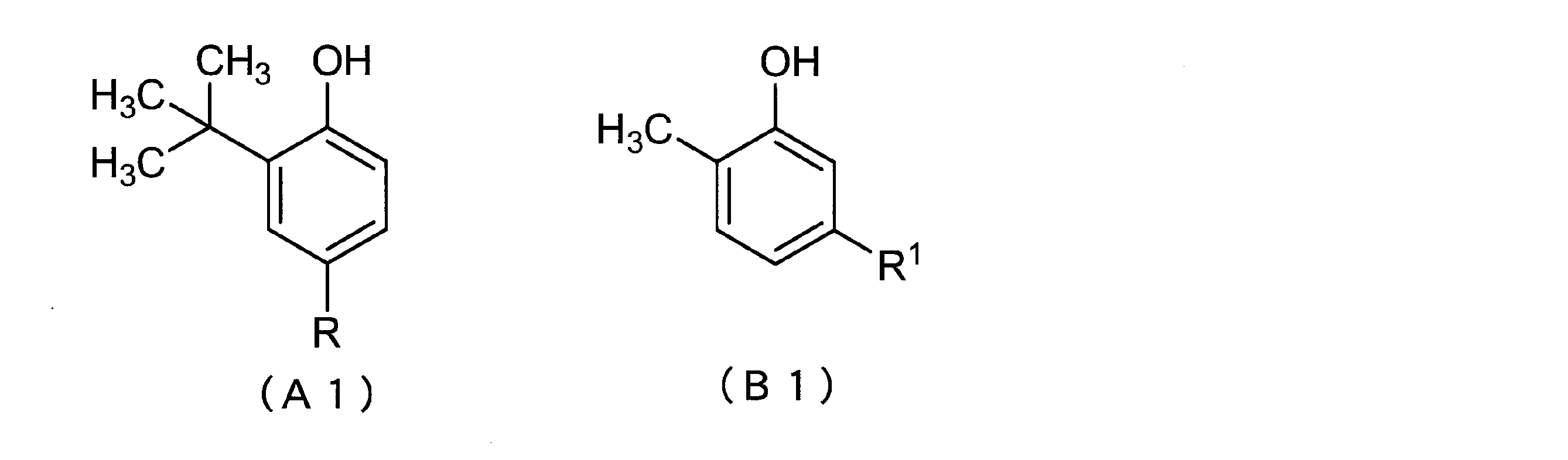 Figure JPOXMLDOC01-appb-C000013