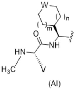 Figure JPOXMLDOC01-appb-C000074