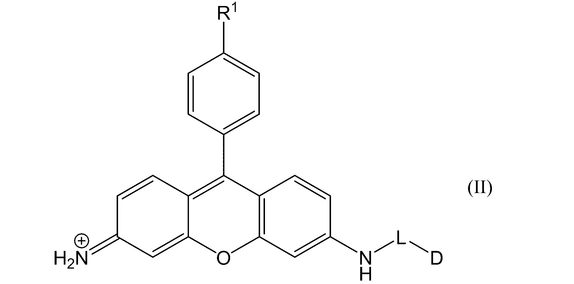 Figure JPOXMLDOC01-appb-C000010