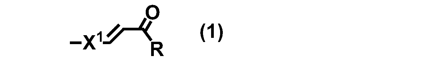 Figure JPOXMLDOC01-appb-C000018