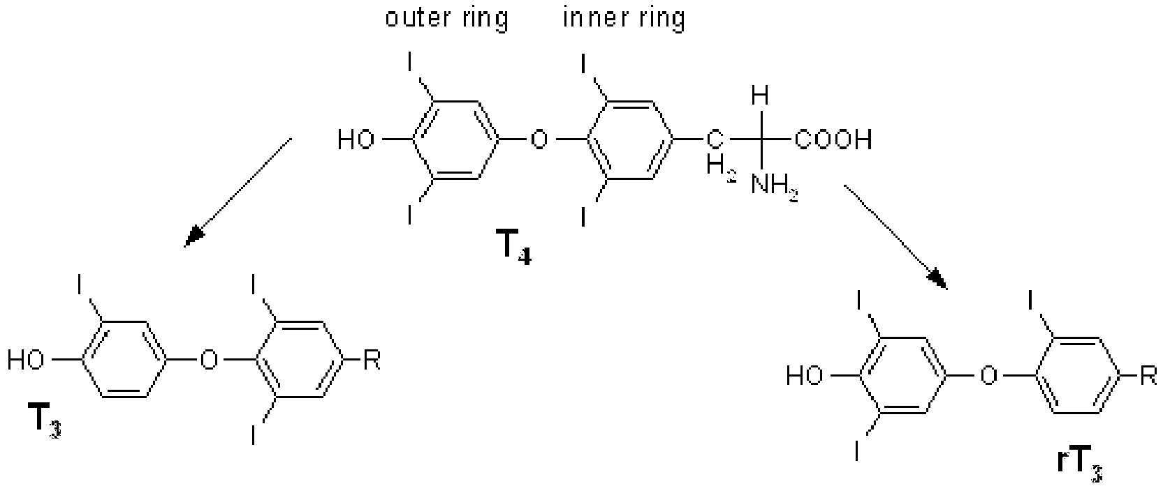 Figure imgb0001
