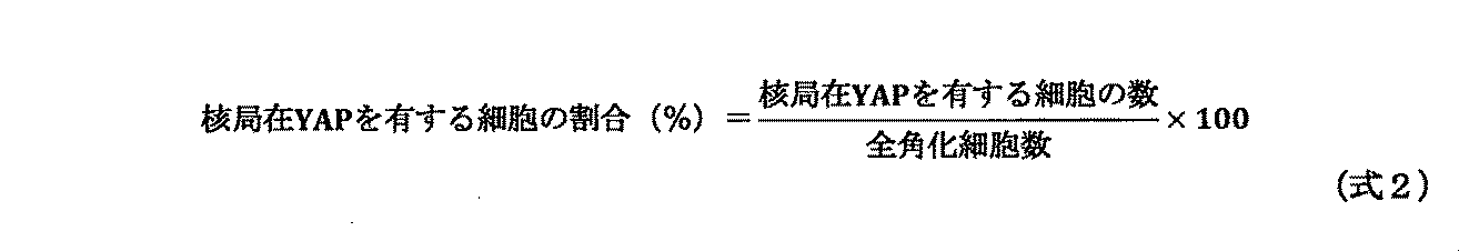 Figure JPOXMLDOC01-appb-M000005