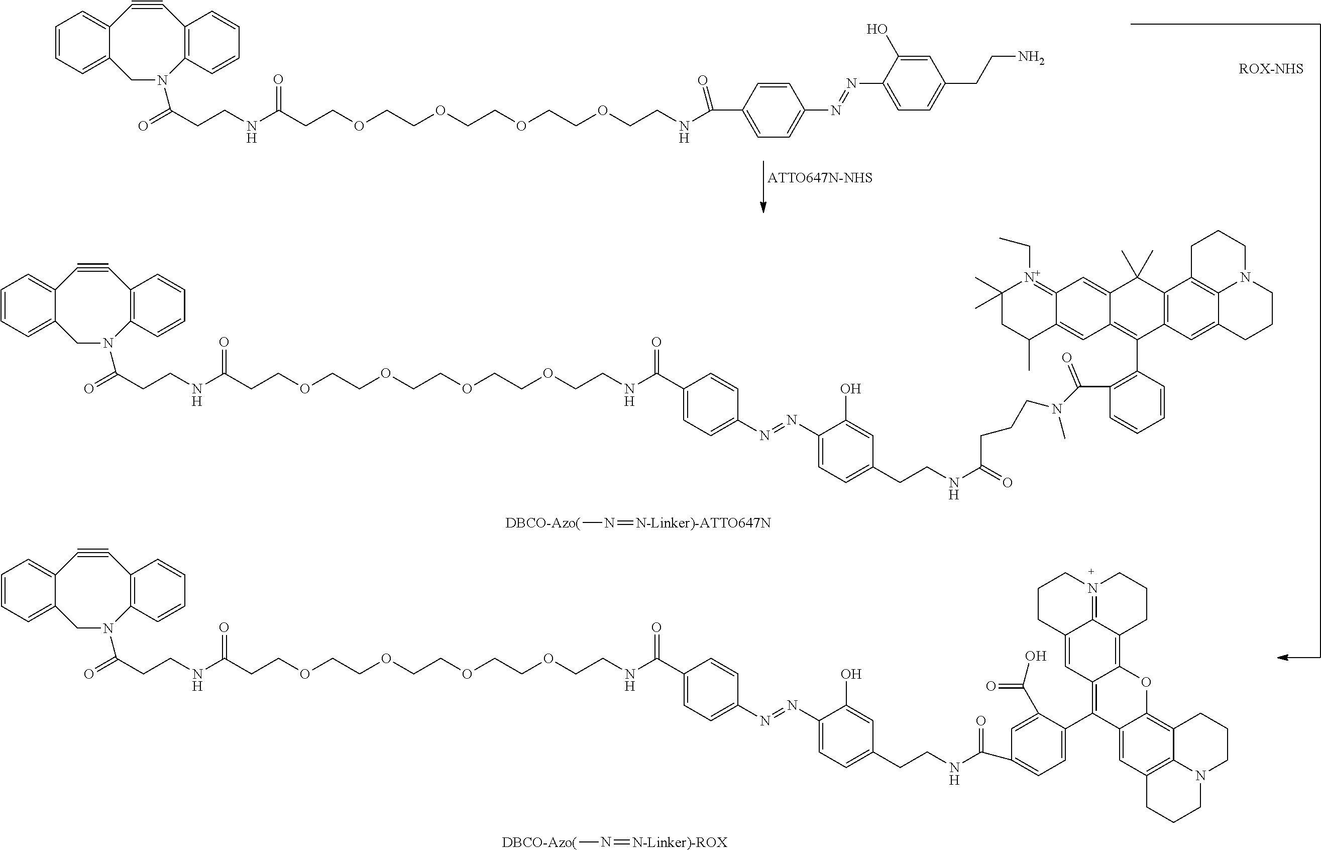 Figure US12006540-20240611-C00494