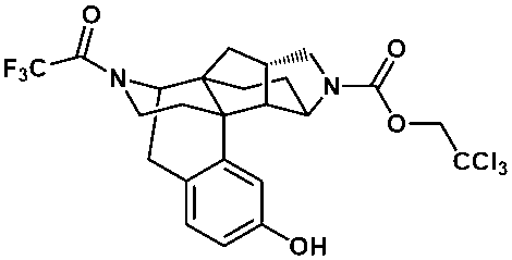 Figure JPOXMLDOC01-appb-C000062