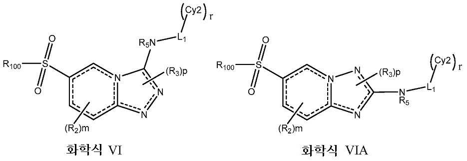 Figure pct00110