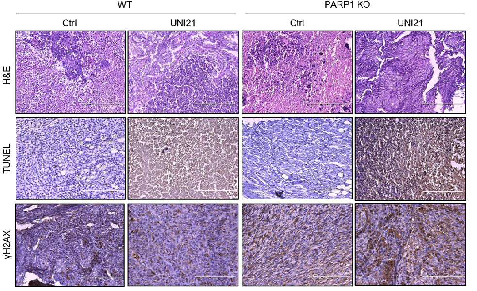 특허 도면 24