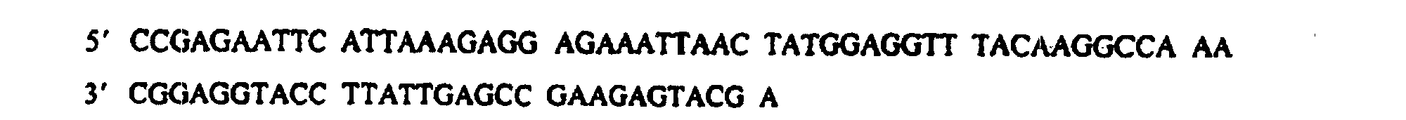 Figure 00290001