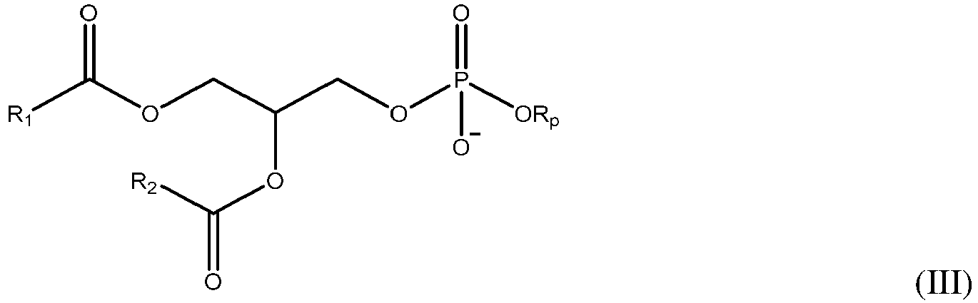 Figure imgb0447
