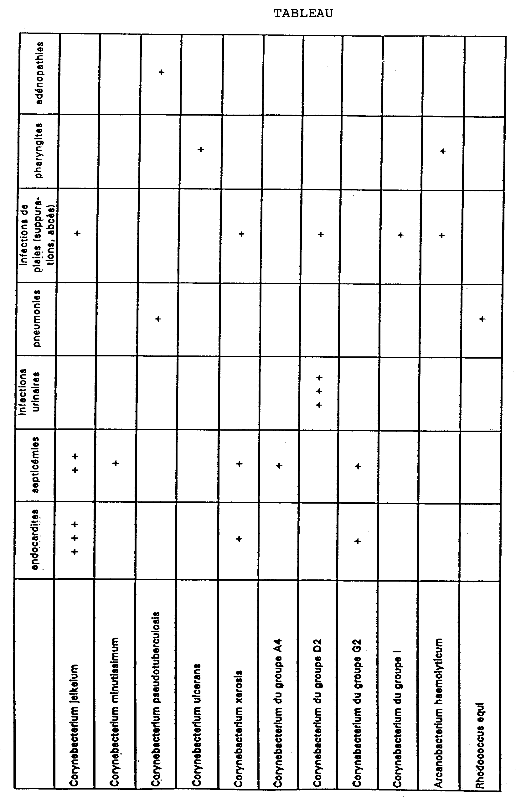 Figure imgb0001