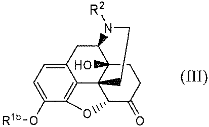 Figure JPOXMLDOC01-appb-C000049