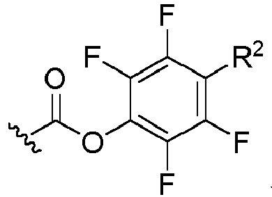 Figure imgb0833
