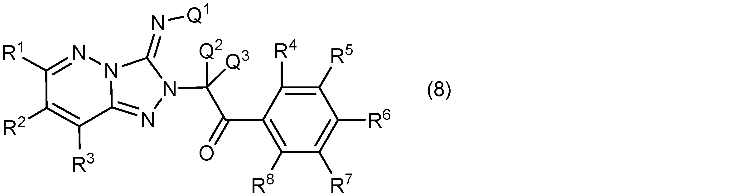 Figure JPOXMLDOC01-appb-C000023