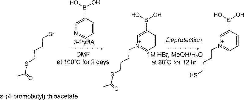 Figure JPOXMLDOC01-appb-C000007