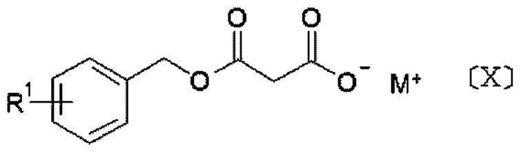 Figure JPOXMLDOC01-appb-C000065
