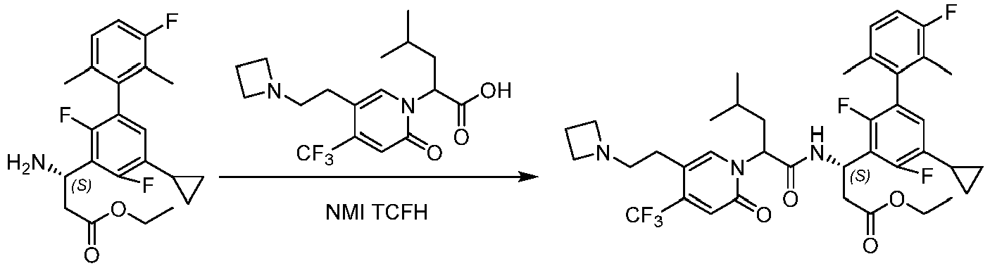 Figure imgb0585