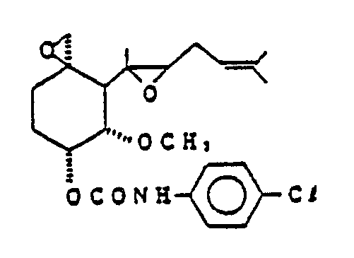 Figure imgb0046