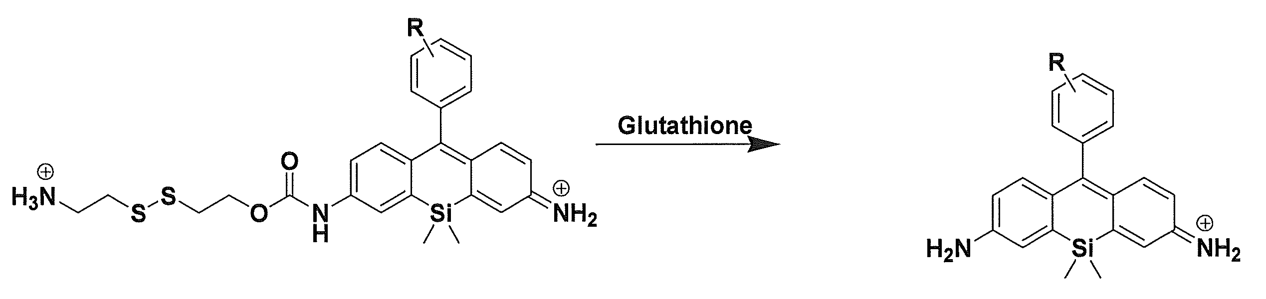 Figure JPOXMLDOC01-appb-C000022