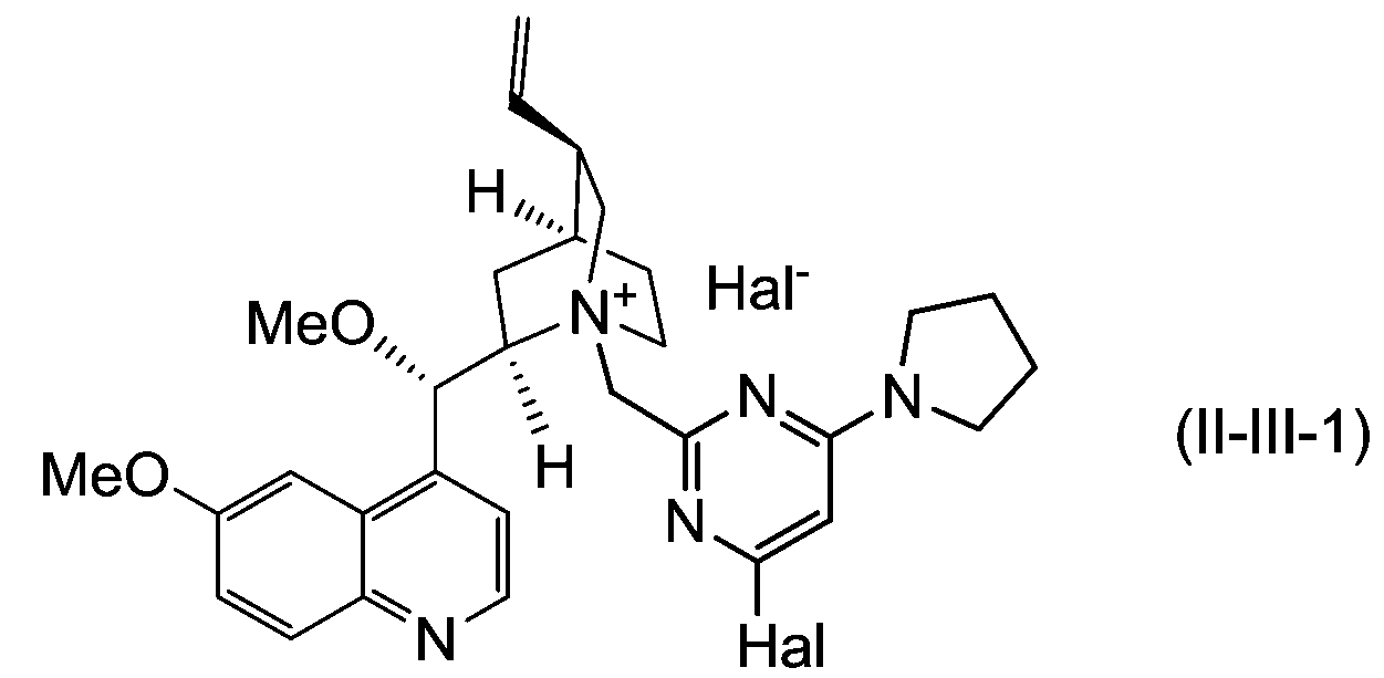 Figure JPOXMLDOC01-appb-C000016
