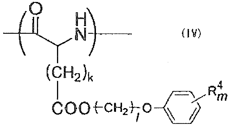 Figure imgb0011