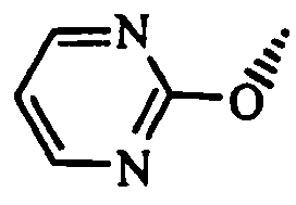 Figure imgb0256