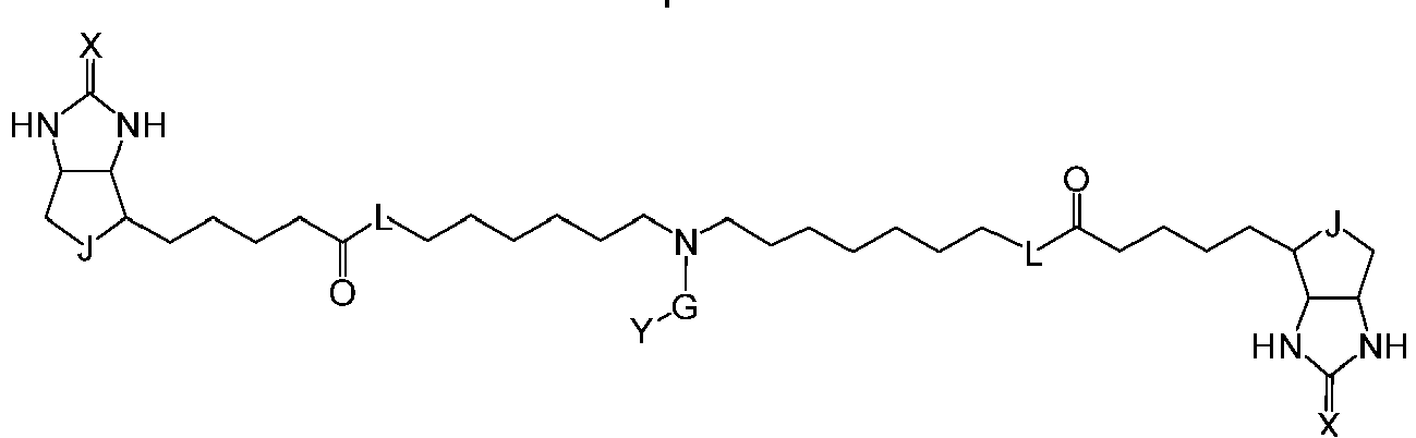 Figure imgb0176