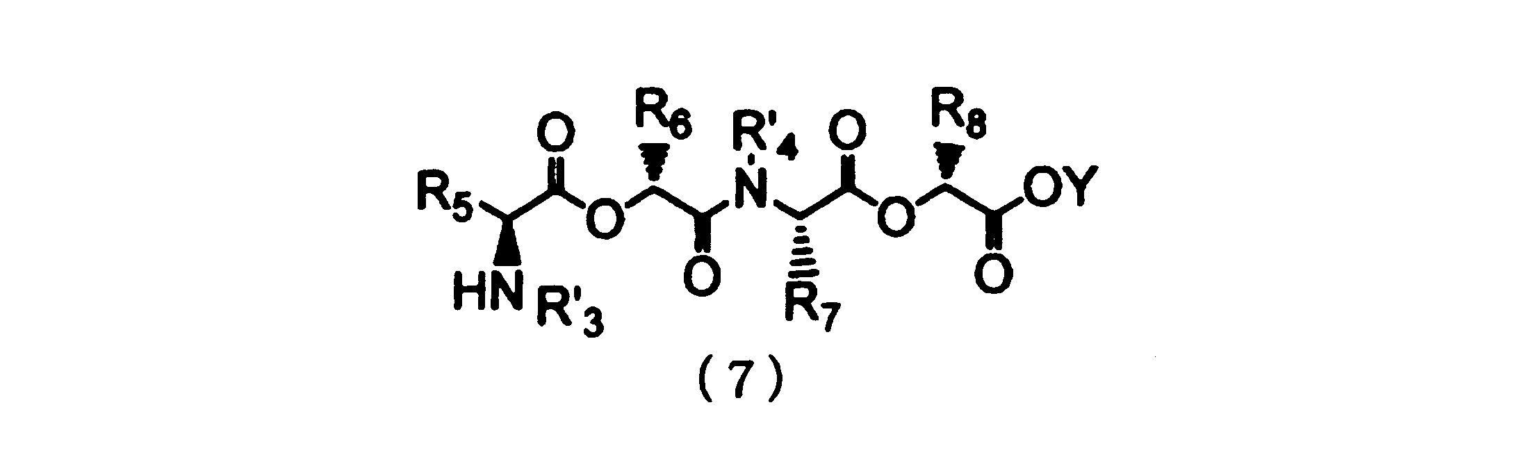 Figure JPOXMLDOC01-appb-C000024