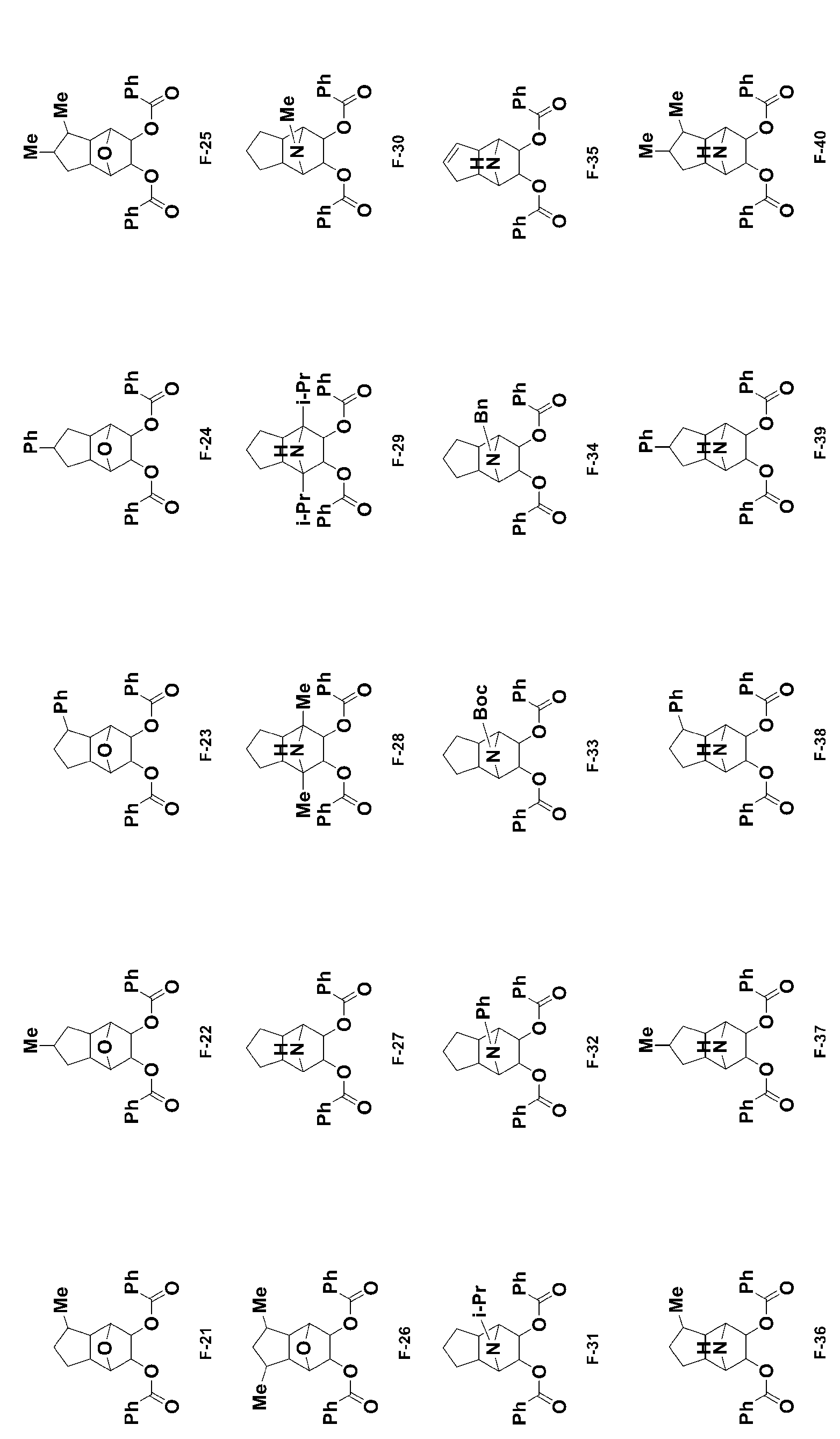 Figure JPOXMLDOC01-appb-C000031