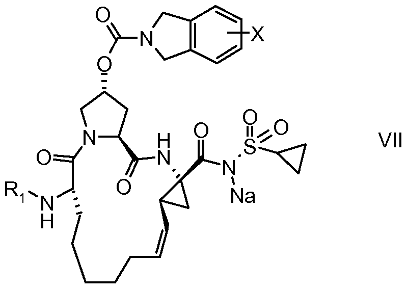 Figure imgf000002_0001