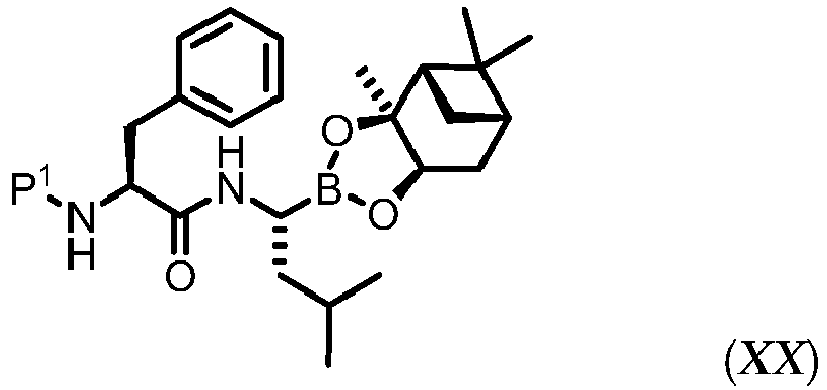 Figure imgb0110