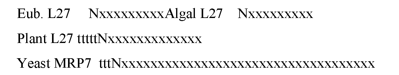 Figure 04470001