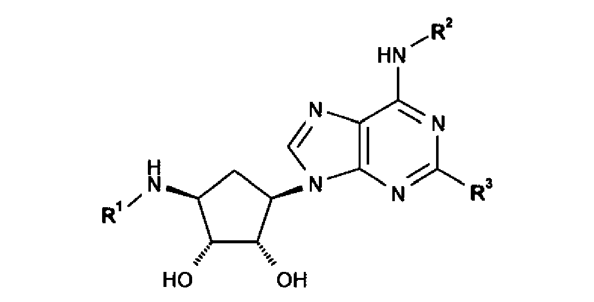 Figure imgb0013
