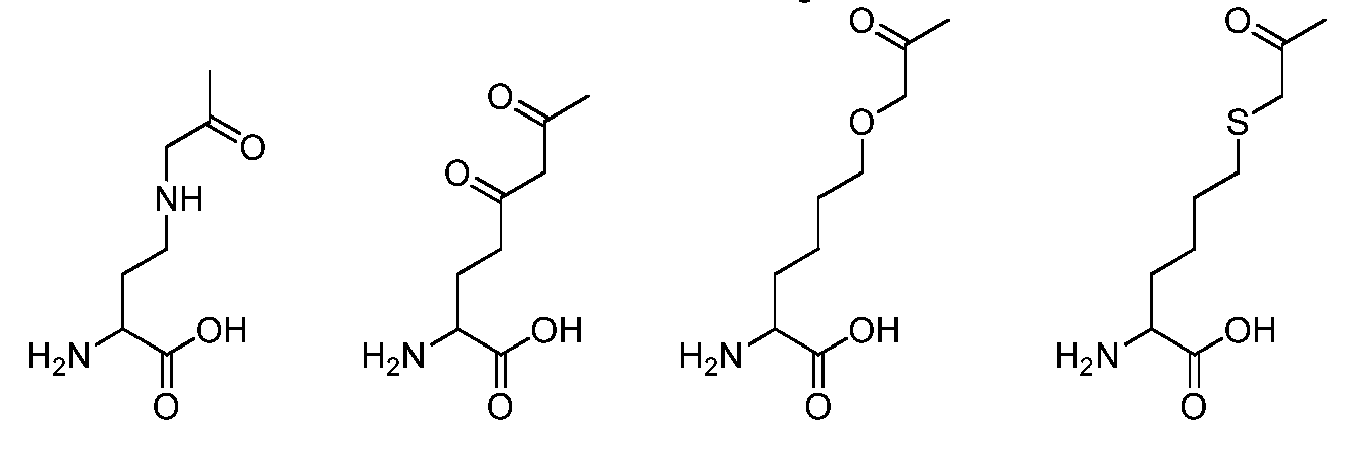 Figure imgb0029