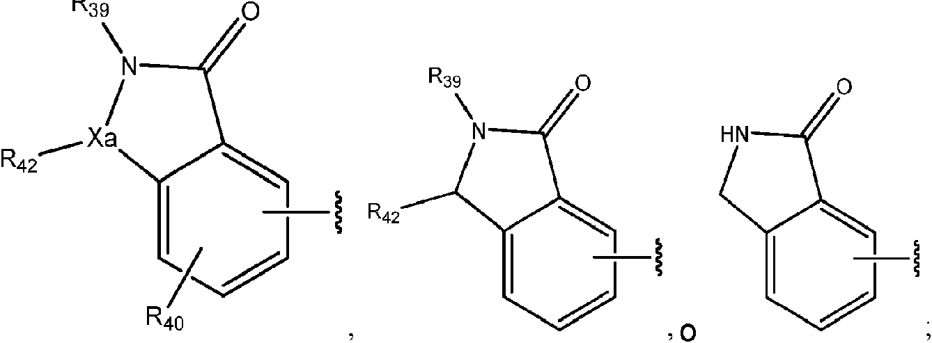 Figure imgf000005_0002