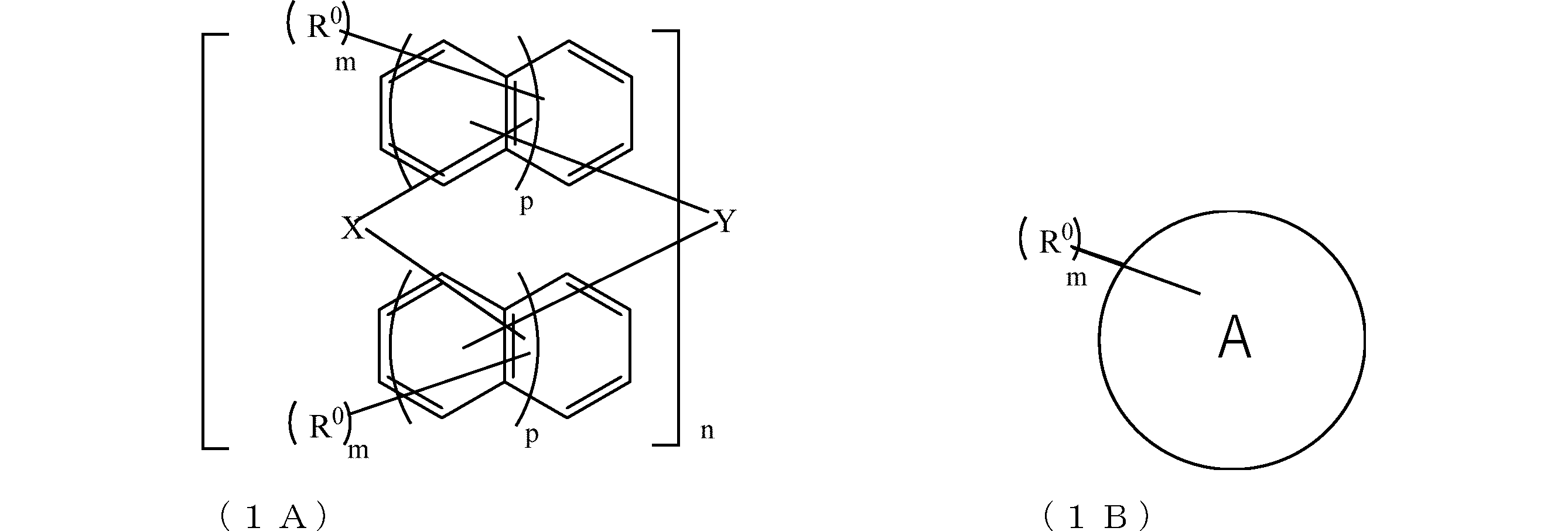 Figure JPOXMLDOC01-appb-C000009