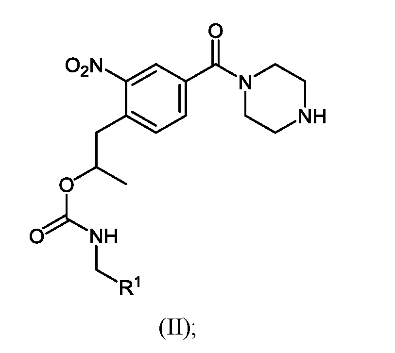 Figure imgf000011_0001