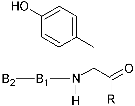 Figure imgb0002