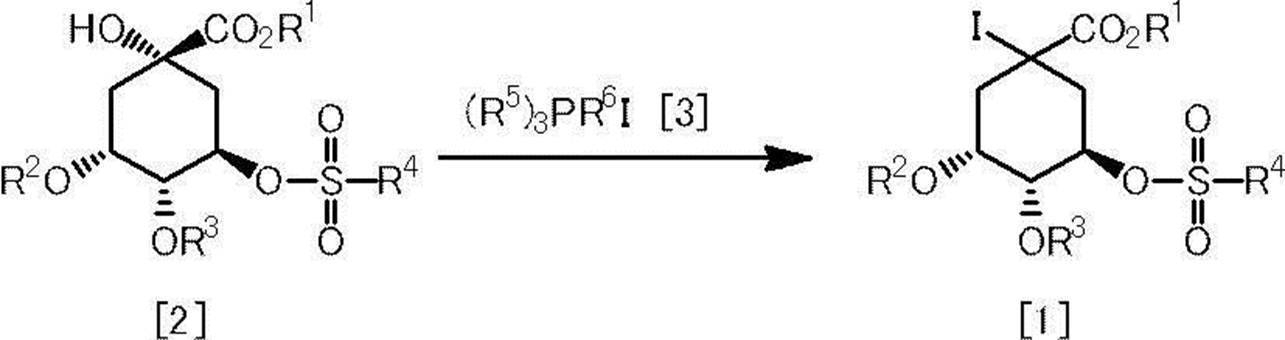 Figure JPOXMLDOC01-appb-C000041