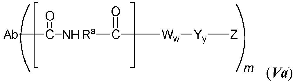 Figure imgb0014