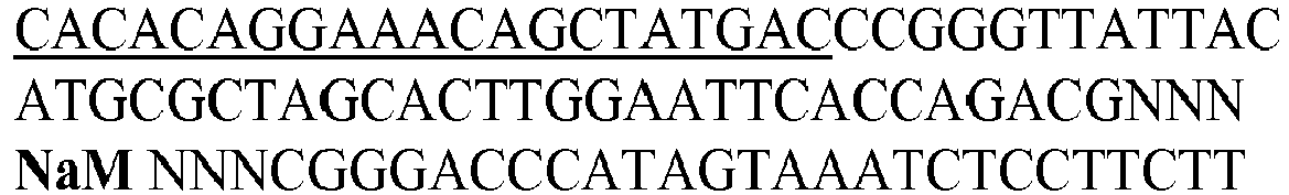 Figure imgb0045