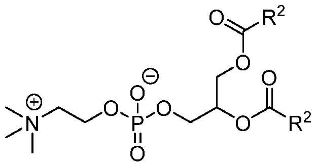 Figure imgf000153_0001