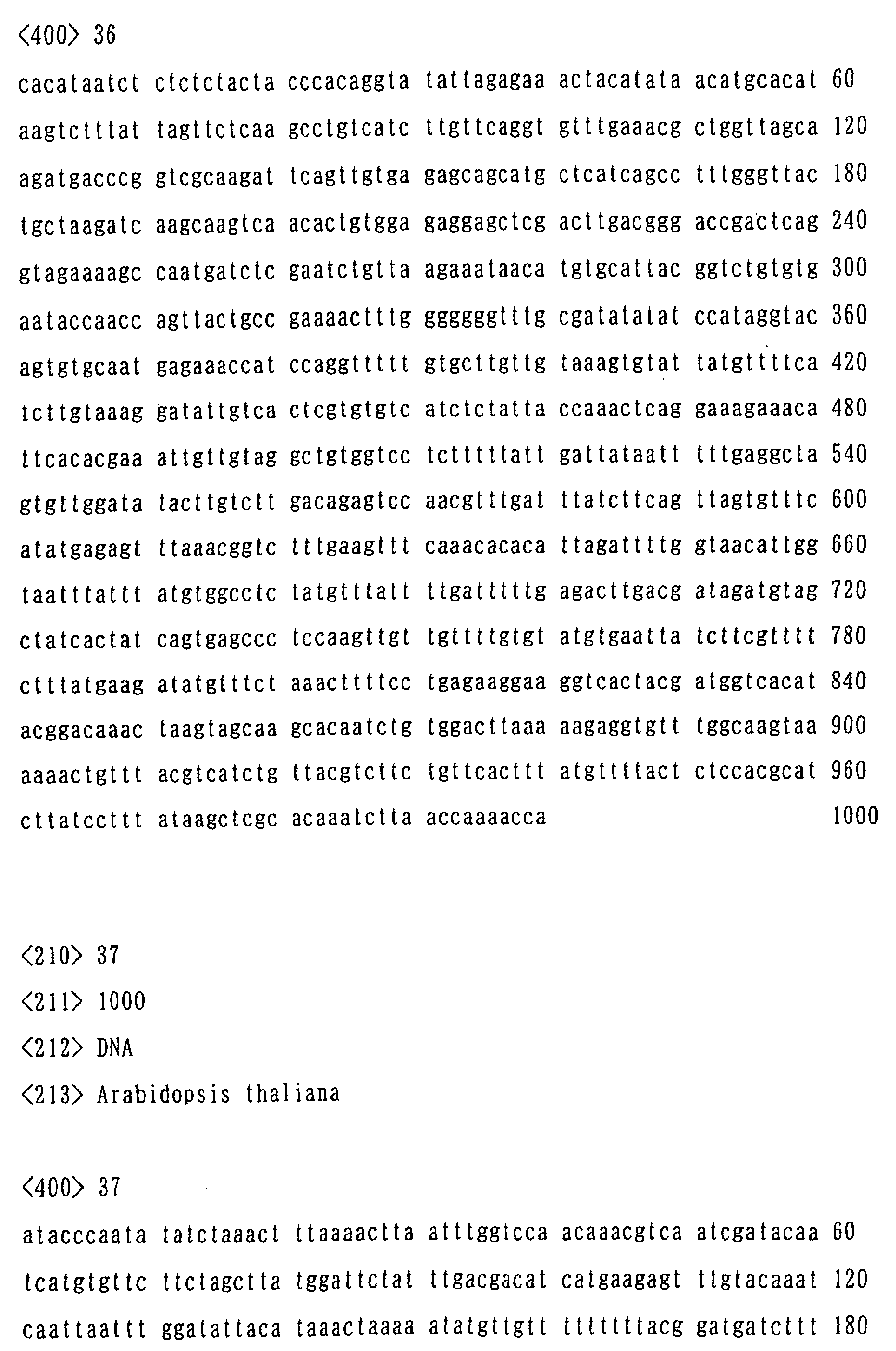 Figure 00970001