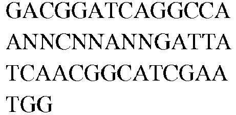 Figure imgb0212