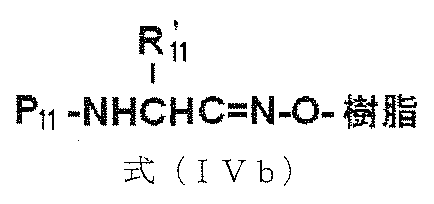 Figure JPOXMLDOC01-appb-C000023