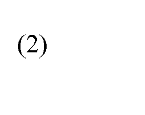 Figure imgb0002