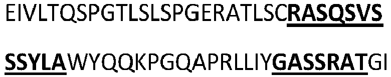 Figure imgb0175