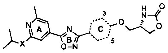 Figure imgf000012_0001