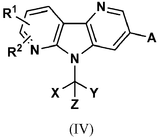 Figure imgb0028