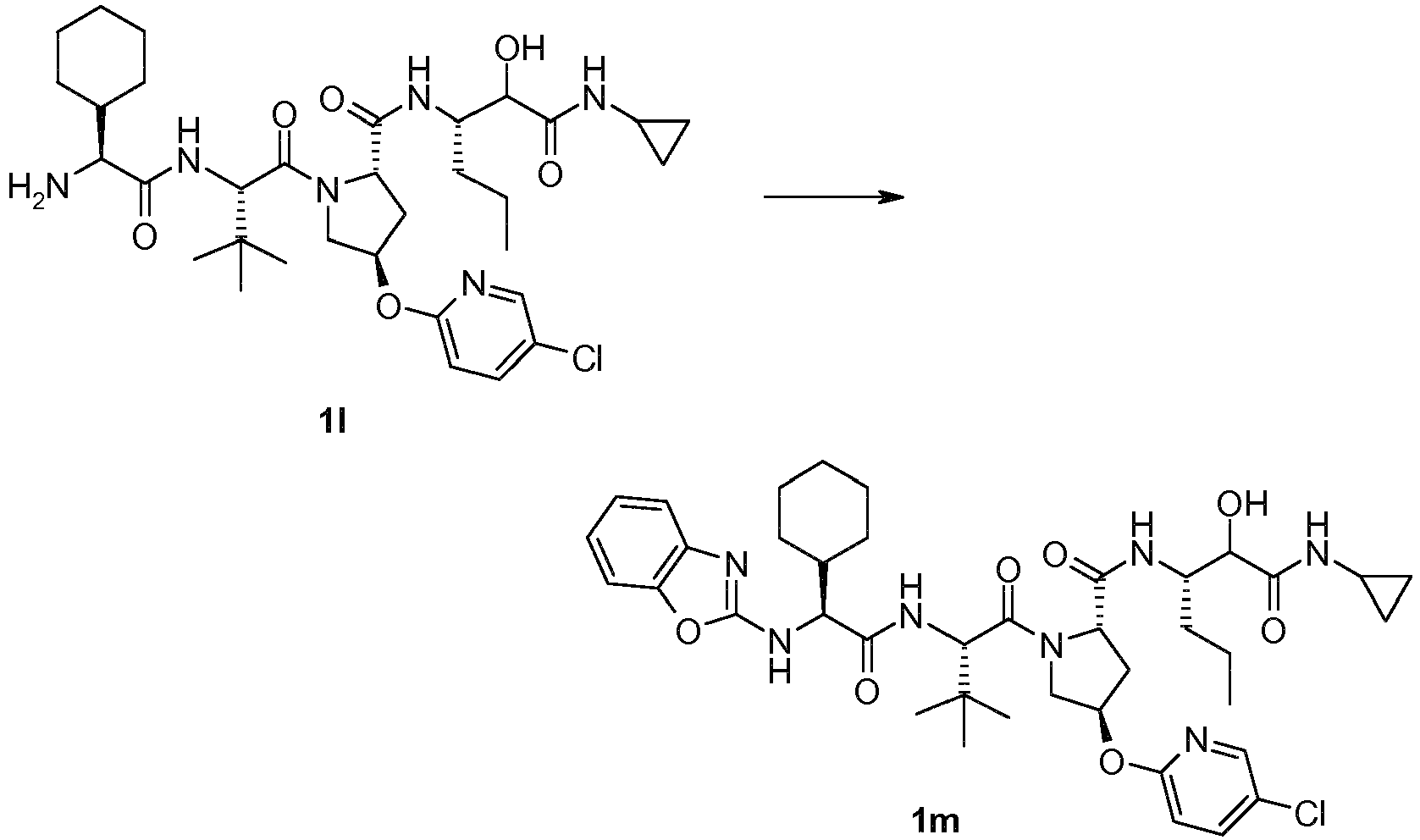 Figure imgb0583